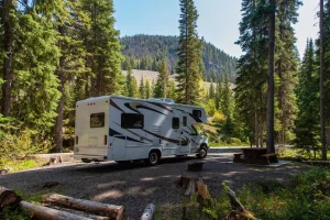 What is RV