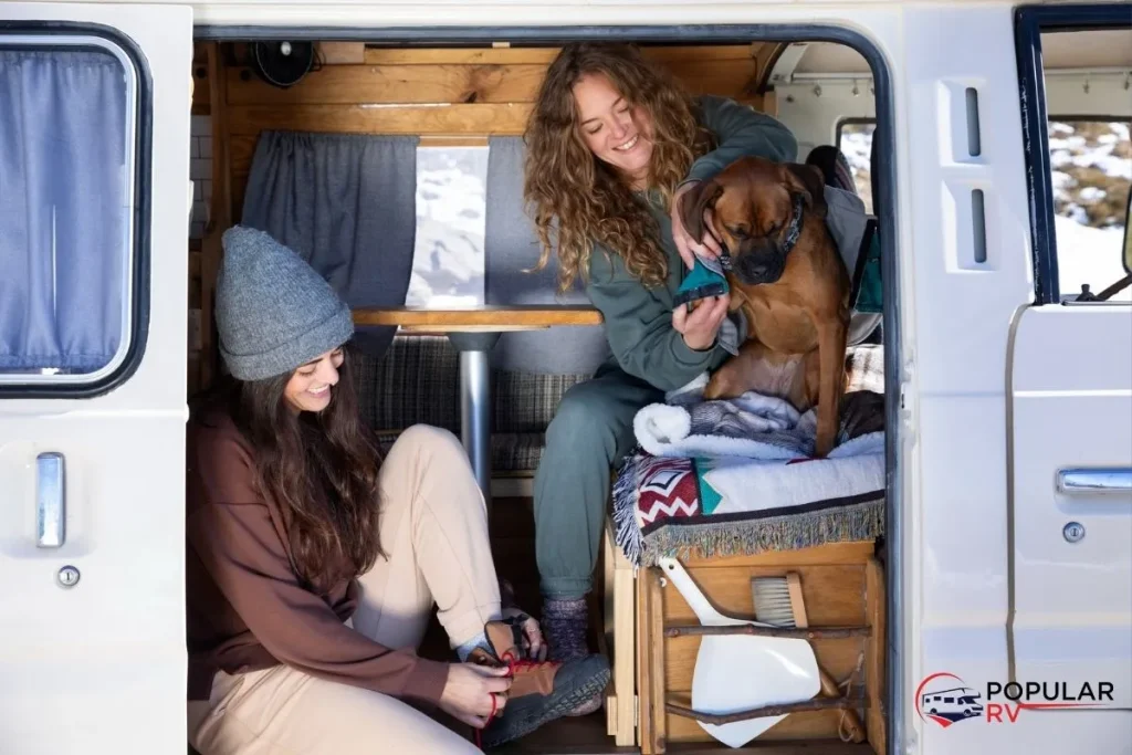 How to Keep Pets Safe While RV Driving 